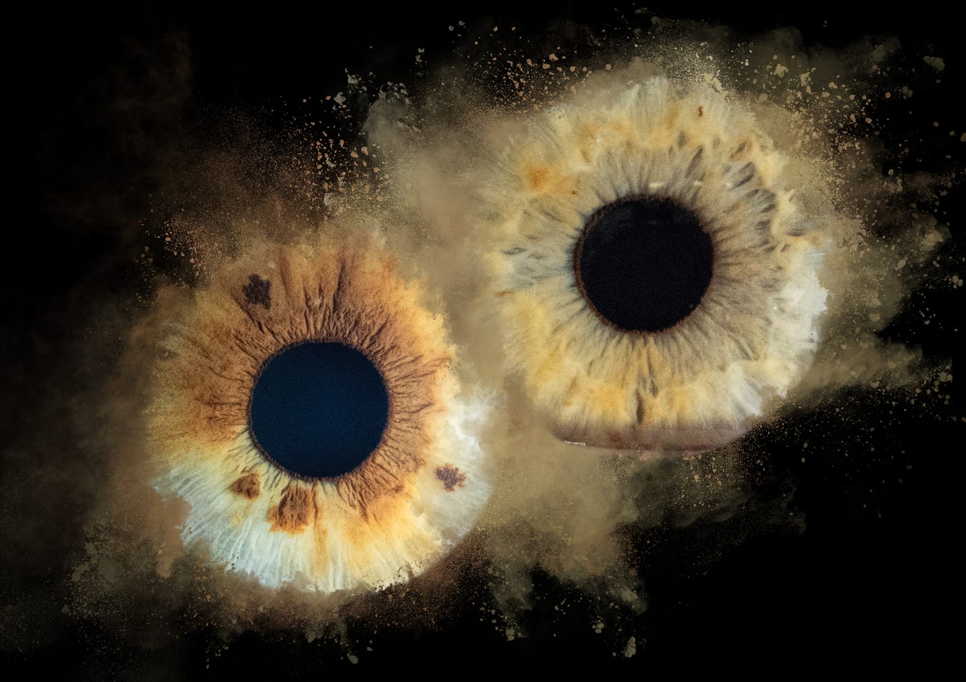 Two irises side by side, couple print